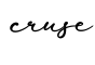 单词cruse书写