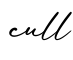 单词cull书写