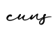 单词cuns书写