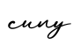 单词cuny书写