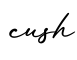 单词cush书写