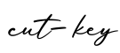 单词cut-key书写