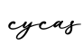 单词cycas书写