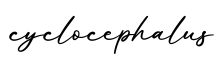 单词cyclocephalus书写