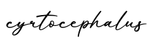 单词cyrtocephalus书写