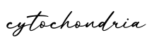单词cytochondria书写