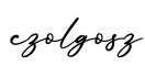 单词czolgosz书写