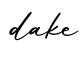 单词dake书写