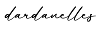 单词dardanelles书写