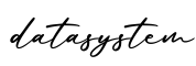 单词datasystem书写