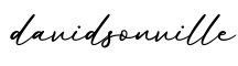 单词davidsonville书写