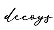单词decoys书写
