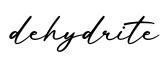 单词dehydrite书写