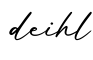 单词deihl书写