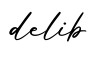 单词delib书写