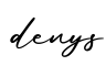 单词denys书写