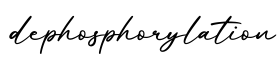 单词dephosphorylation书写