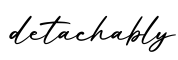 单词detachably书写