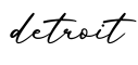 单词detroit书写