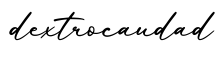 单词dextrocaudad书写