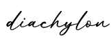 单词diachylon书写