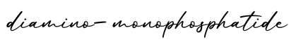 单词diamino-monophosphatide书写