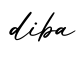 单词diba书写