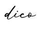 单词dico书写