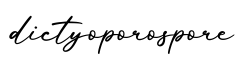 单词dictyoporospore书写