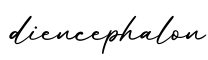 单词diencephalon书写