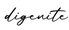 单词digenite书写