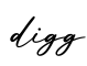 单词digg书写
