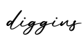 单词diggins书写