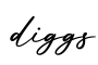 单词diggs书写