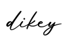 单词dikey书写