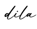 单词dila书写