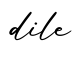 单词dile书写