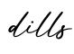 单词dills书写