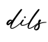 单词dils书写