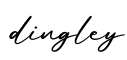 单词dingley书写