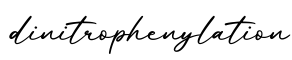 单词dinitrophenylation书写
