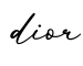 单词dior书写