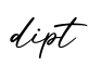单词dipt书写