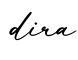单词dira书写