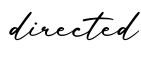 单词directed书写