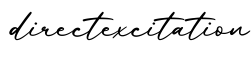 单词directexcitation书写