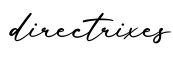 单词directrixes书写