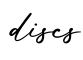 单词discs书写