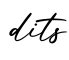单词dits书写