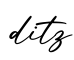 单词ditz书写